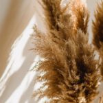 Eco Home - High angle of wicker vase with dried brown plants on floor in room