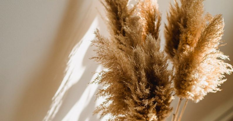 Eco Home - High angle of wicker vase with dried brown plants on floor in room