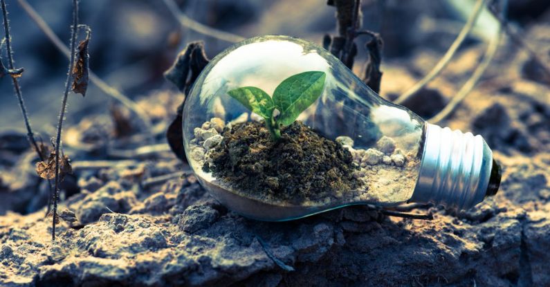 Green Technology - Clear Light Bulb Planter on Gray Rock