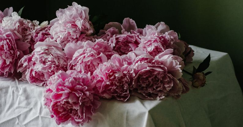 Eco Gifts - Bunch of delicate pink peonies on table